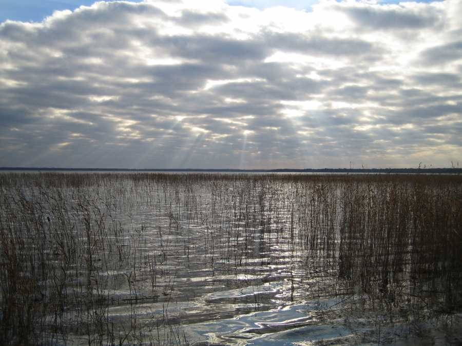 Славенское озеро_003